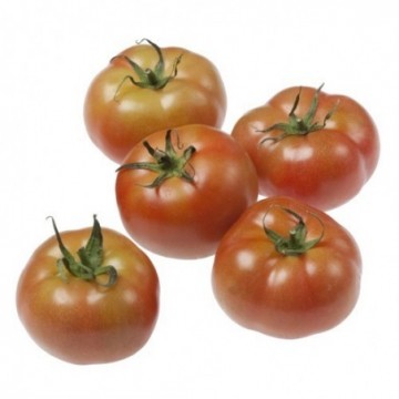 Tomate ensalada ecológico - Ecoalimentaria